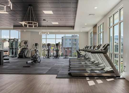 the gym with treadmills and windows at the district flats apartments at 605 Place Student Housing & Co-Living, Utah