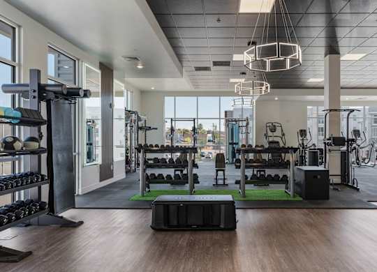 a gym with weights and exercise equipment on a green rug at 605 Place Student Housing & Co-Living, St George, UT, 84770