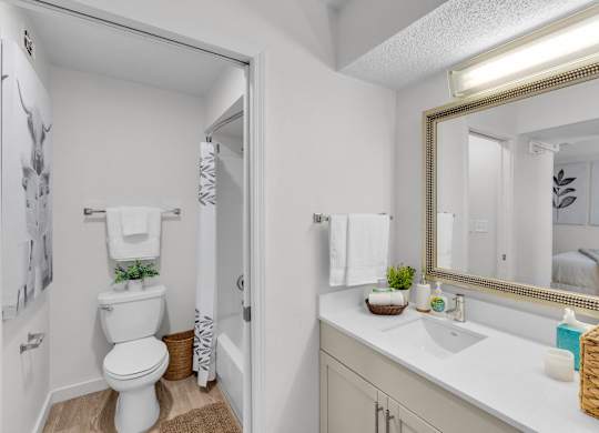 a bathroom with a mirror and a toilet and a sink at AVIA Lofts on Liberty Ridge Apartments, Florida