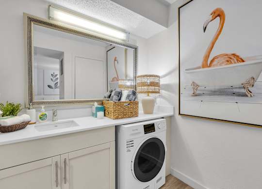 a laundry room with a sink and a washing machine and a mirror and a tub at AVIA Lofts on Liberty Ridge Apartments, Jacksonville, FL, 32256