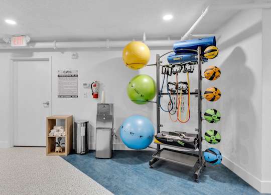 a fitness room with weights and balls and a cart at AVIA Lofts on Liberty Ridge Apartments, Florida