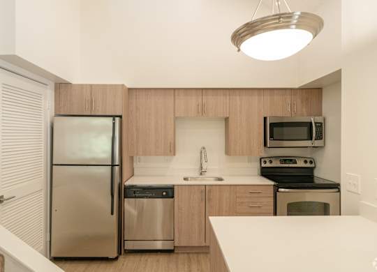 Apartment kitchen with stainless steel appliances at Avia Lofts at Maple Road, Amherst, 14221