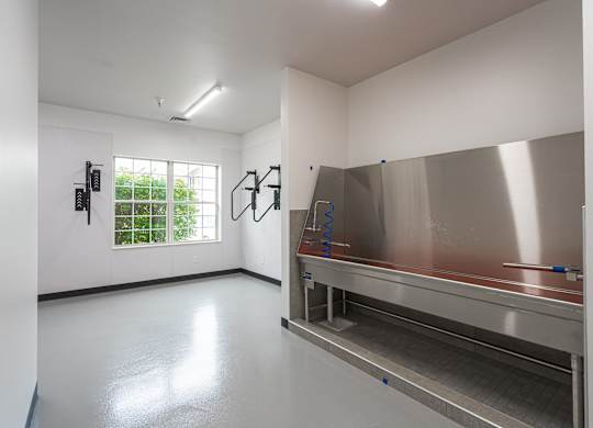Pet Spa at AVIA Lofts on Victors Way, Ann Arbor, MI, Michigan