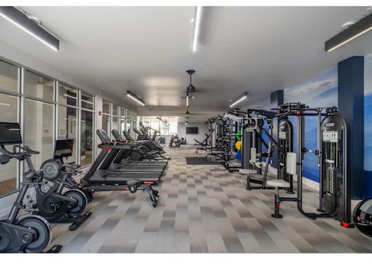 A gym with a variety of exercise equipment including treadmills, stationary bikes, and weight machines.