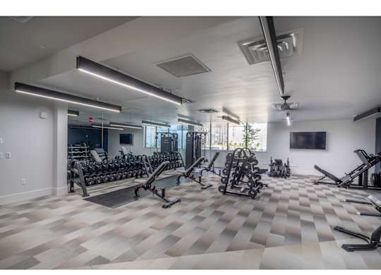 A spacious gym with a variety of exercise equipment.