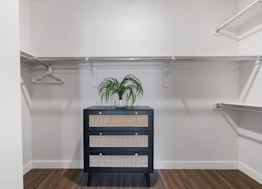 a closet with a dresser and a plant in it at The Flats at Riverwoods, Provo, Utah
