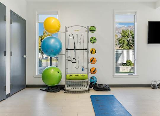 a workout room with weights and other exercise equipment in a house at The Flats at Riverwoods, Provo, UT, 84604