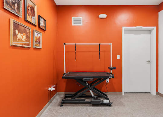 pet holding area at The Revival, Salt Lake City