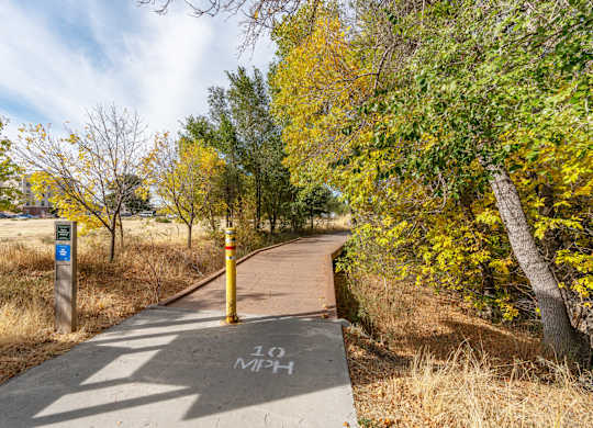 a path in a park with trees on both sides of itat The View on 20th, Ogden, 84401