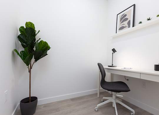 A room with a desk, chair, and a plant.