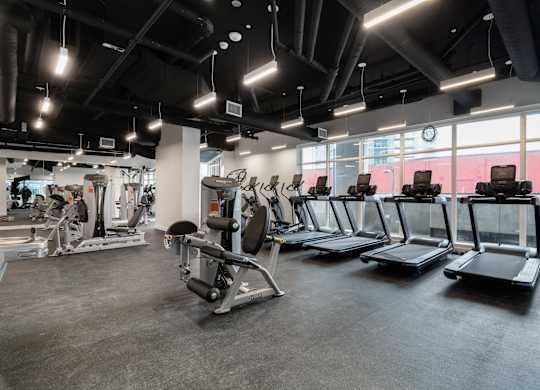 A gym with treadmills and other exercise equipment.