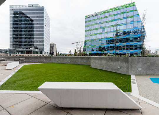 A white bench sits in front of a green lawn.