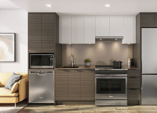 A modern kitchen with stainless steel appliances and a plant on the side.