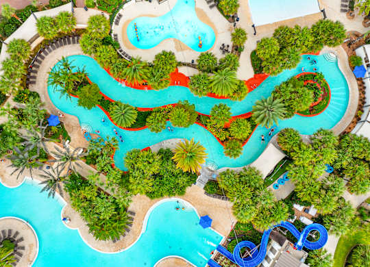 A large outdoor swimming pool surrounded by palm trees.