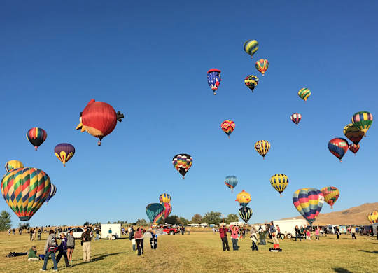 A group of people are flying kites in a field.