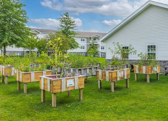 Elevated garden beds with vegetables and herbs at Schuyler Commons Apartments, Utica