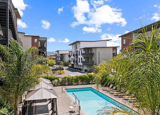 A pool surrounded by palm trees and apartment buildings.