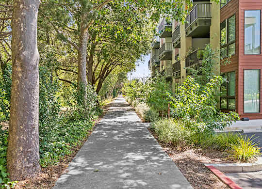 A tree-lined walkway leads to a building.