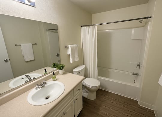 A bathroom with a toilet, sink, and shower.