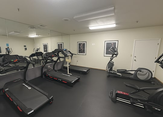 A gym with treadmills, elliptical machines, and a stationary bike.