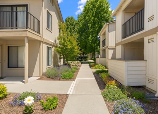 A row of beige townhouses with a sidewalk and landscaping in the foreground.