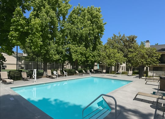A swimming pool surrounded by trees and lounge chairs.