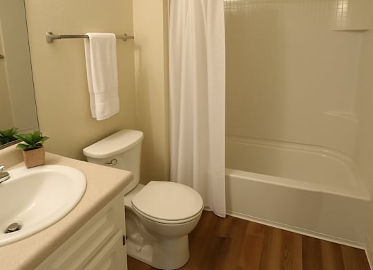A white toilet sits next to a sink in a bathroom.