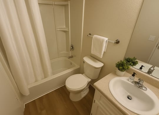 A white toilet sits next to a sink in a bathroom.