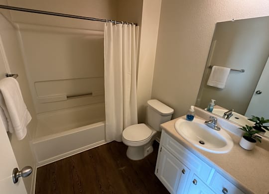 A bathroom with a toilet, sink, and shower.