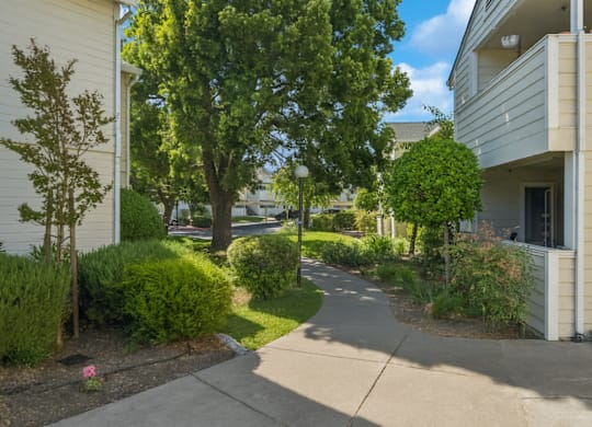 A residential area with a tree and a building.