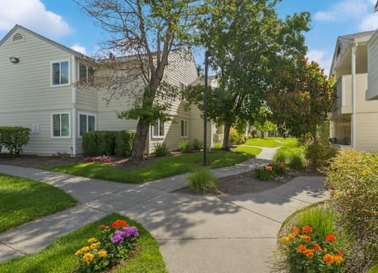 A residential area with a pathway and houses.