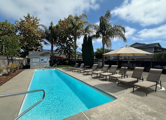 A swimming pool surrounded by trees and chairs.