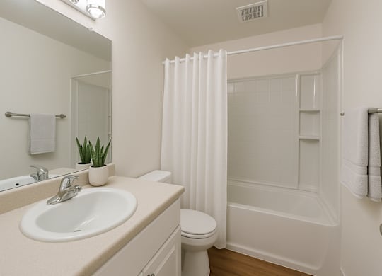Bathroom With Bathtub at Hamilton Woods, California
