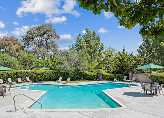 A swimming pool surrounded by trees and chairs.