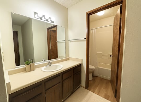 A bathroom with a sink, mirror, and toilet.