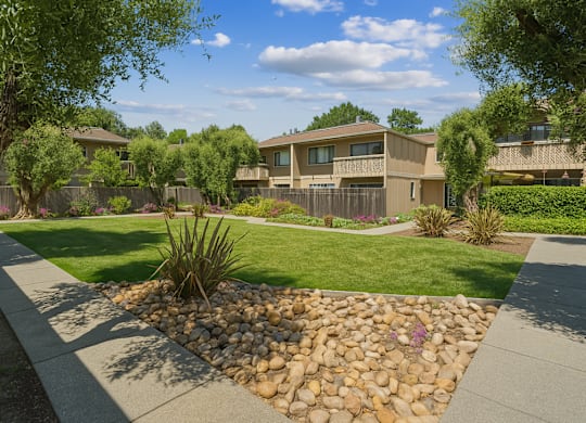 A well-maintained garden with a stone pathway and a small tree in the foreground.