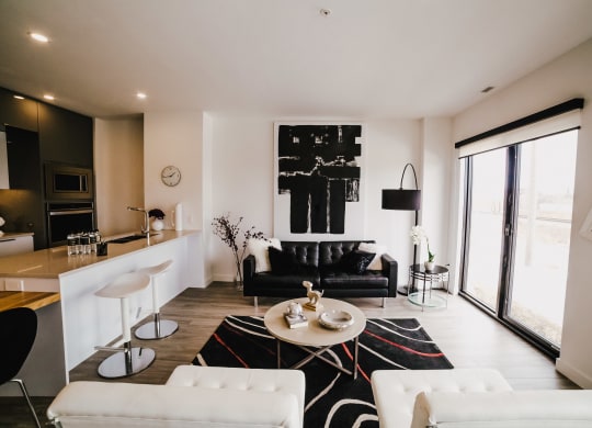a living room with a black and white rug and white furniture