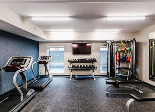 the gym has plenty of equipment and a tv
