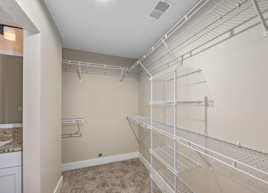 A walk-in closet with white shelving and a carpeted floor.