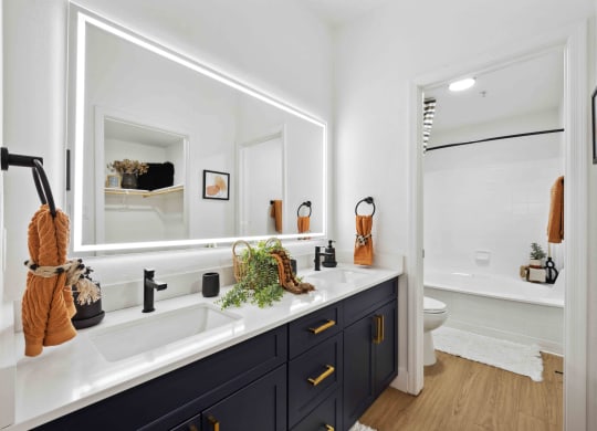 a bathroom with black cabinets and white walls