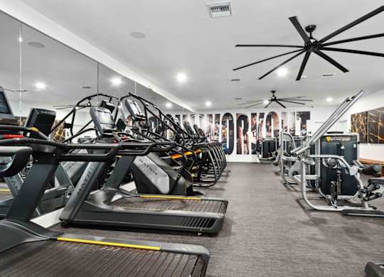 A gym with treadmills, exercise bikes, and other equipment.