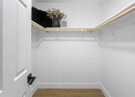 a room with white walls and a white closet with a plant on a shelf