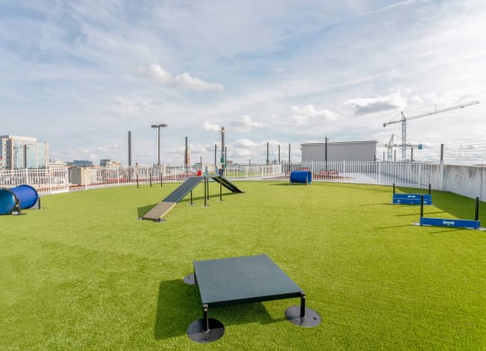Elliston 23 apartments in Nashville Tennessee photo of roof top pet park