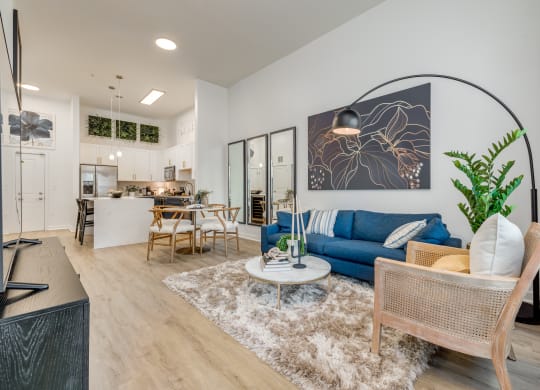 Midtown 205 Model Living Room