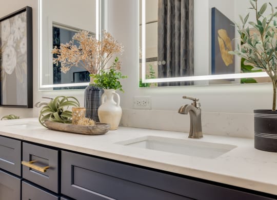 Midtown 205 Model Bathroom Details