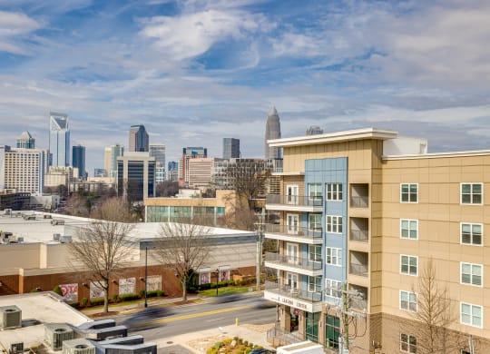Midtown 205 Skyline View