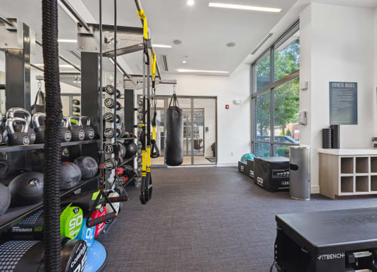 a gym with a punching bag and weights on the wall