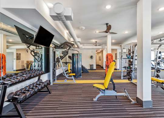 A gym with a variety of equipment including dumbbells, weight machines, and a bench press.