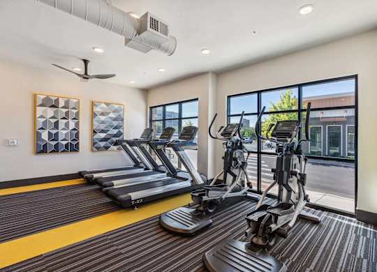 A gym with treadmills and elliptical machines.
