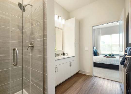 A bathroom with a walk-in shower and a vanity with a mirror.